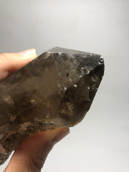Smoky Quartz with Golden Rutile Raw Crystals 395g