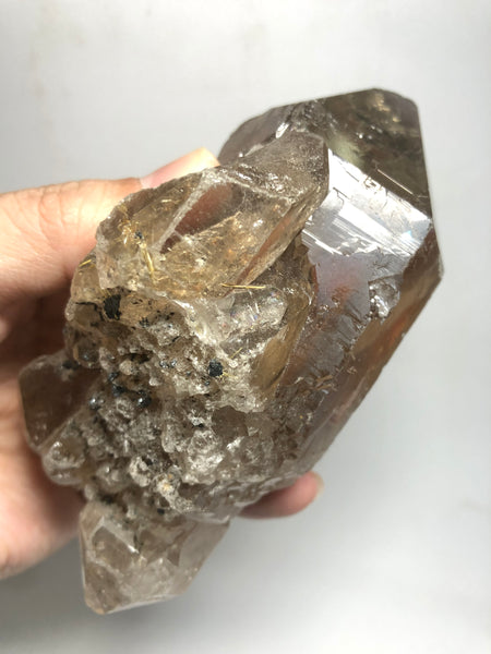 Smoky Quartz with Golden Rutile Raw Crystals 395g