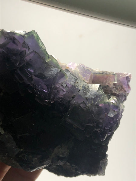 Translucent Deep Purple Cubic Fluorite with Green Zoning Raw Crystals 439g