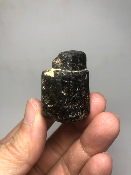 Dravite Brown Tourmaline Raw Crystals 43g