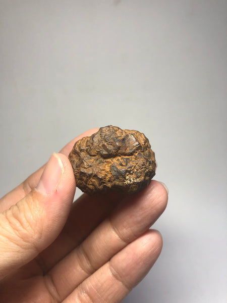 Prophecy Stone Raw Crystals 43g