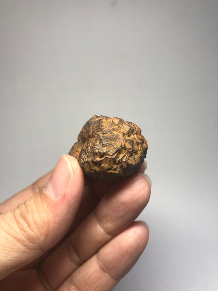 Prophecy Stone Raw Crystals 43g