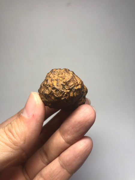 Prophecy Stone Raw Crystals 43g