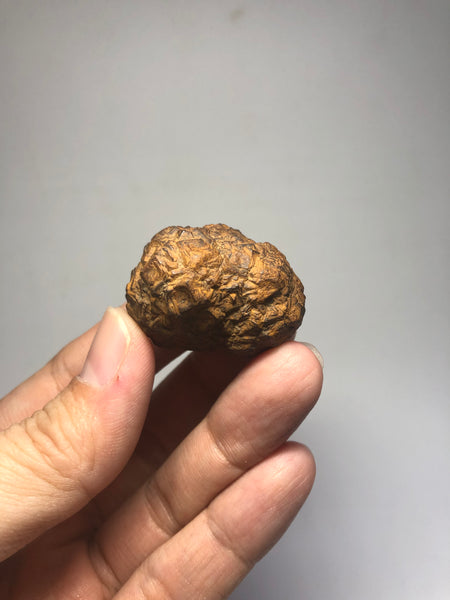 Prophecy Stone Raw Crystals 43g