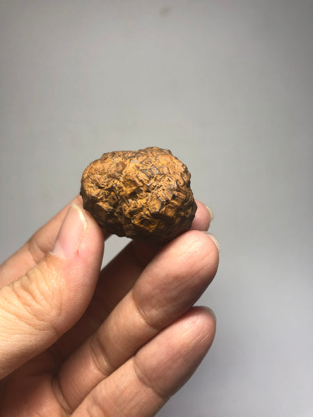 Prophecy Stone Raw Crystals 43g