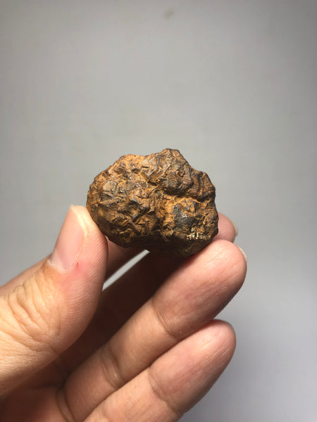 Prophecy Stone Raw Crystals 43g