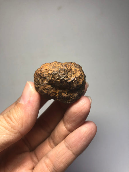 Prophecy Stone Raw Crystals 43g