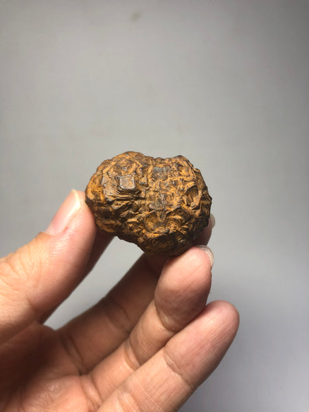 Prophecy Stone Raw Crystals 43g