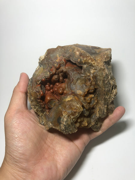 Blue Brown Agate Raw Crystals 488g