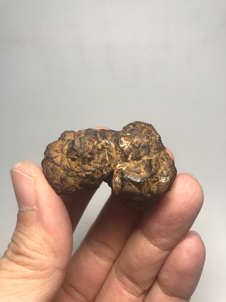 Prophecy Stone Raw Crystals 49g