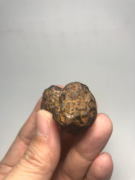 Prophecy Stone Raw Crystals 49g