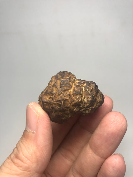 Prophecy Stone Raw Crystals 49g