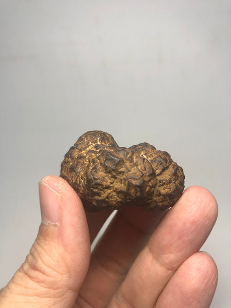 Prophecy Stone Raw Crystals 49g