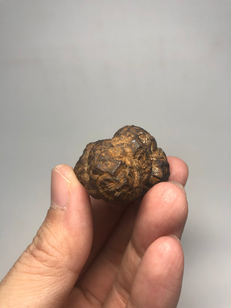 Prophecy Stone Raw Crystals 49g