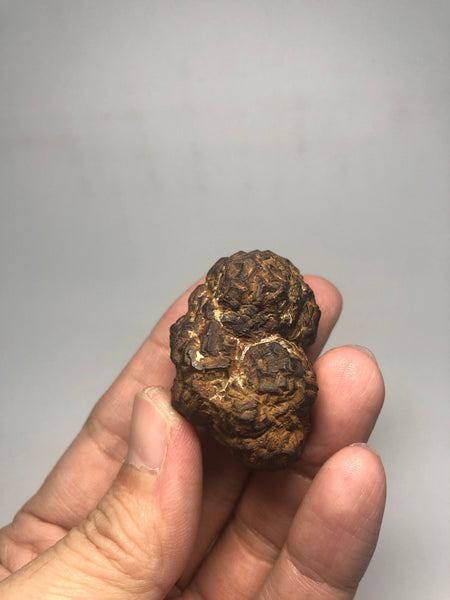 Prophecy Stone Raw Crystals 49g