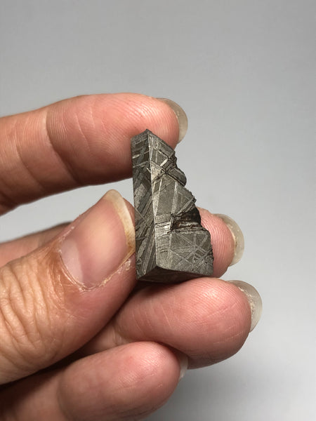 Meteorite from Muonionalusta Sweden