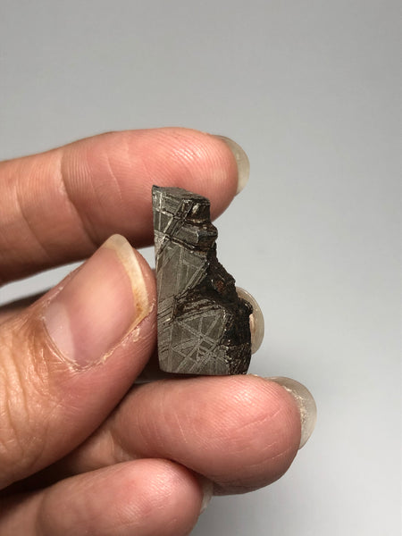 Meteorite from Muonionalusta Sweden