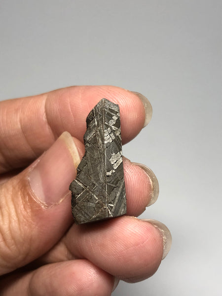 Meteorite from Muonionalusta Sweden