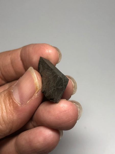 Meteorite from Muonionalusta Sweden