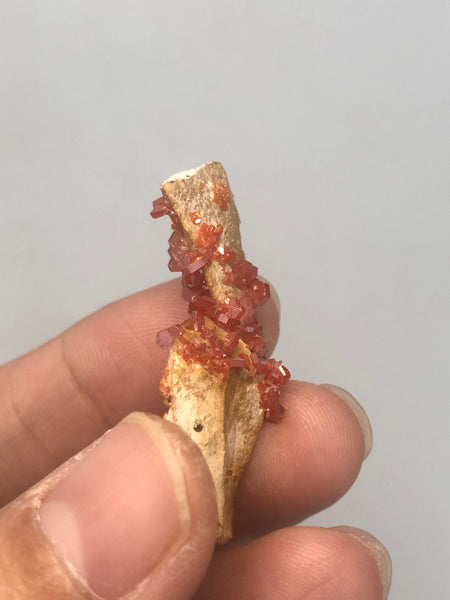 Vanadinite Raw Crystals 4g