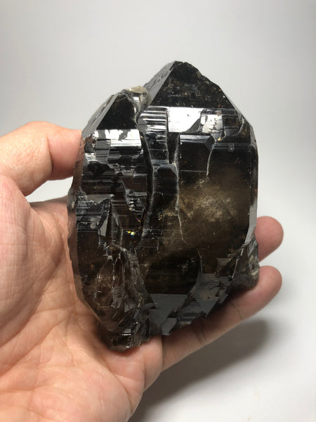 Morion Quartz 519g