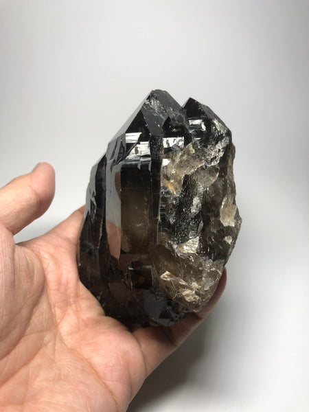 Morion Quartz 519g