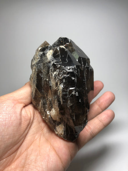 Morion Quartz 519g