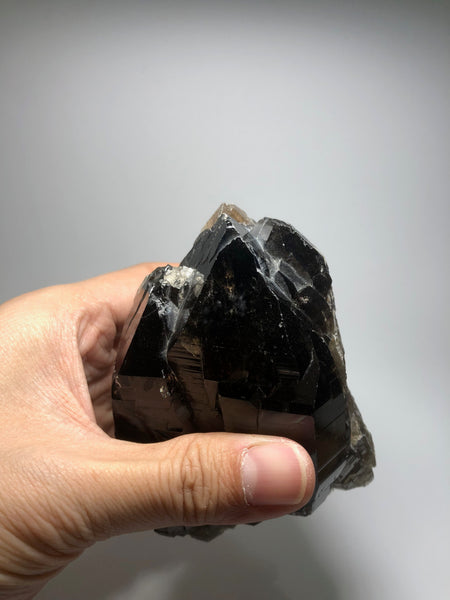Morion Quartz 519g