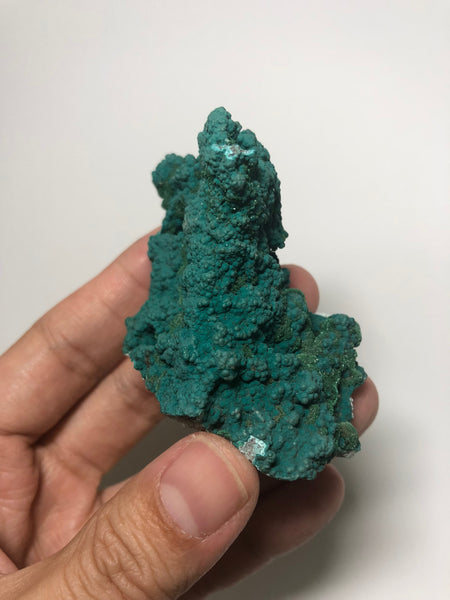 Botryoidal Druzy Chrysocolla Raw Crystals 52g