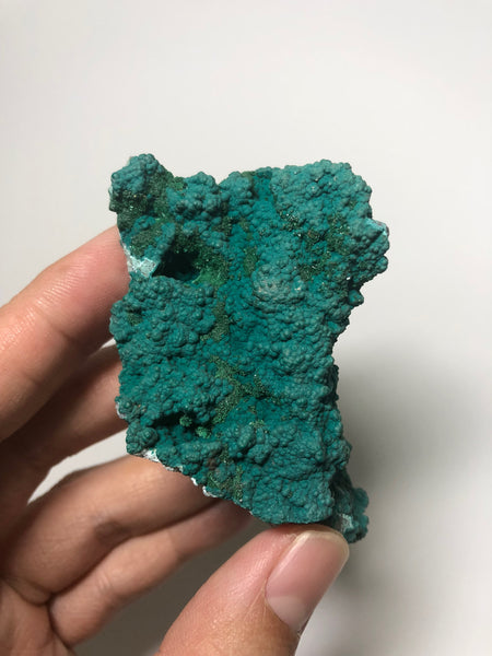 Botryoidal Druzy Chrysocolla Raw Crystals 52g