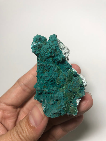 Botryoidal Druzy Chrysocolla Raw Crystals 52g