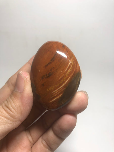 Petrified Wood Palm Stones 53g