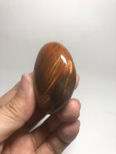 Petrified Wood Palm Stones 53g