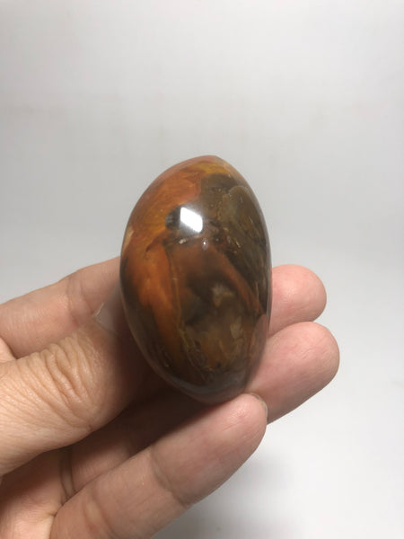 Petrified Wood Palm Stones 53g