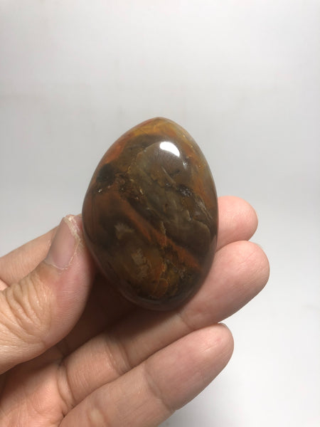 Petrified Wood Palm Stones 53g