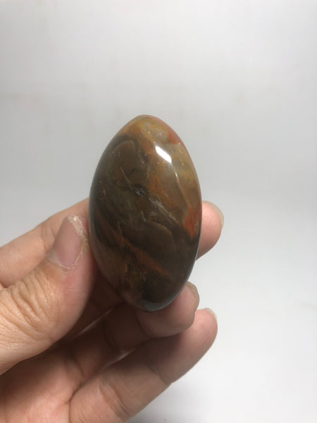Petrified Wood Palm Stones 53g