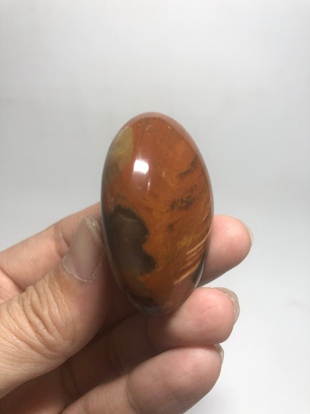 Petrified Wood Palm Stones 53g