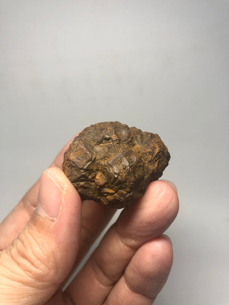 Prophecy Stone Raw Crystals 53g