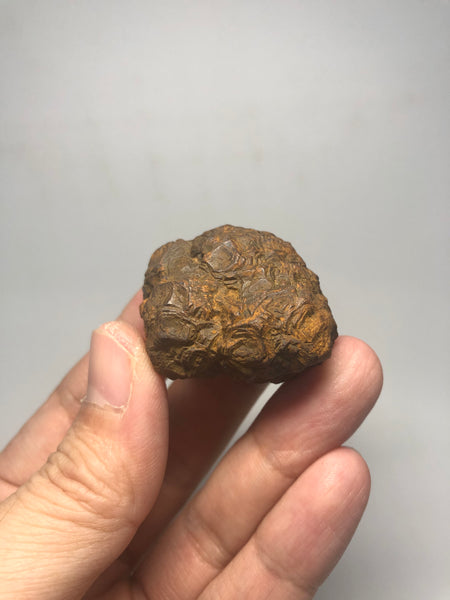 Prophecy Stone Raw Crystals 53g