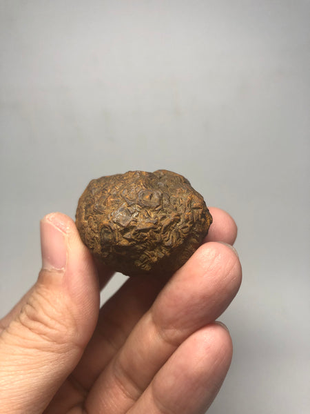 Prophecy Stone Raw Crystals 53g