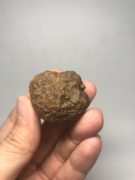 Prophecy Stone Raw Crystals 53g