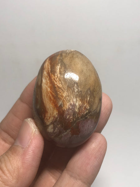 Petrified Wood Palm Stones 57g