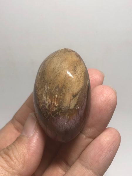 Petrified Wood Palm Stones 57g