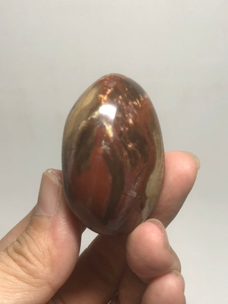 Petrified Wood Palm Stones 57g