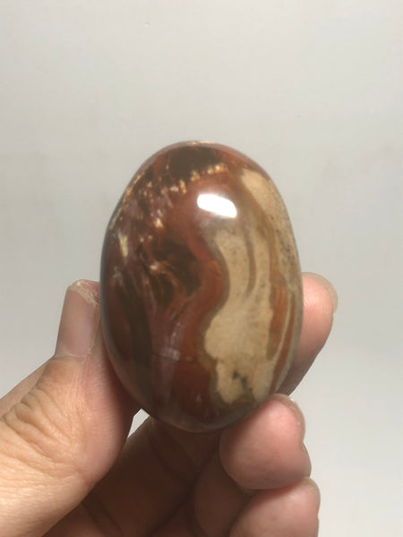 Petrified Wood Palm Stones 57g