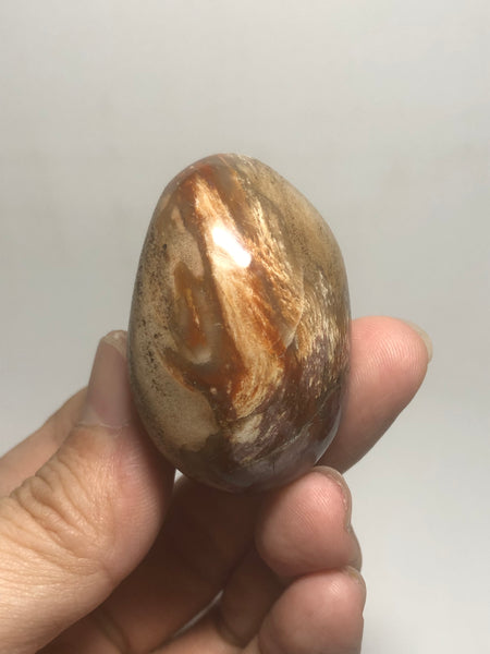 Petrified Wood Palm Stones 57g