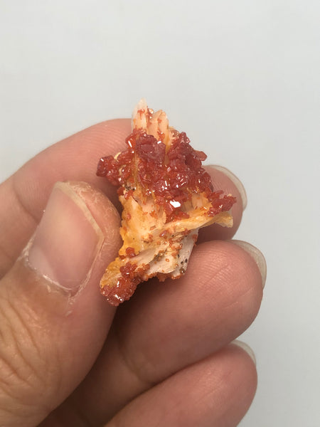 Vanadinite on Barite Raw Crystals 5g