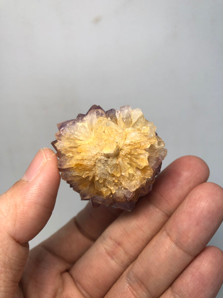 Amethyst Spirit Cactus Quartz Raw Crystals 60g
