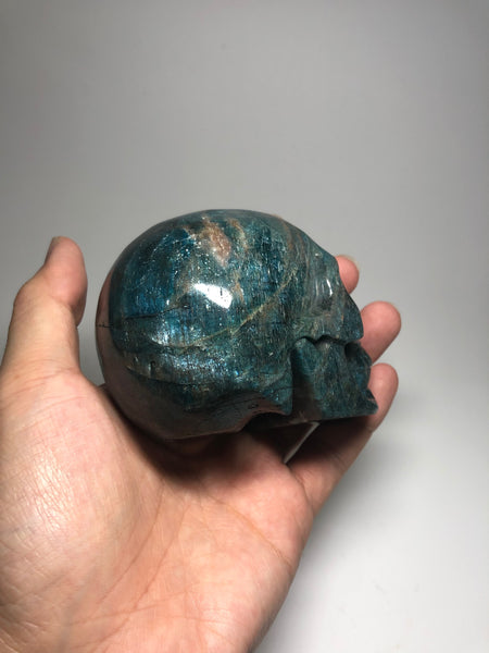 Blue Apatite Crystal Skull 650g