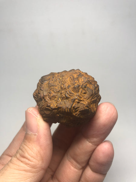 Prophecy Stone Raw Crystals 73g